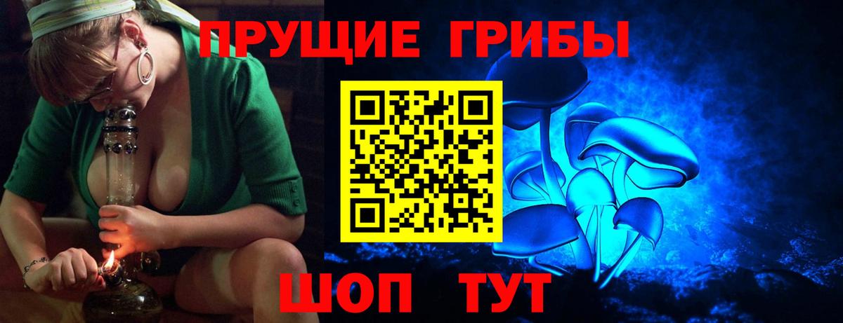 Галлюциногенные грибы Psilocybine cubensis Наро-Фоминск